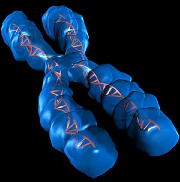 南京爱心捐卵机构