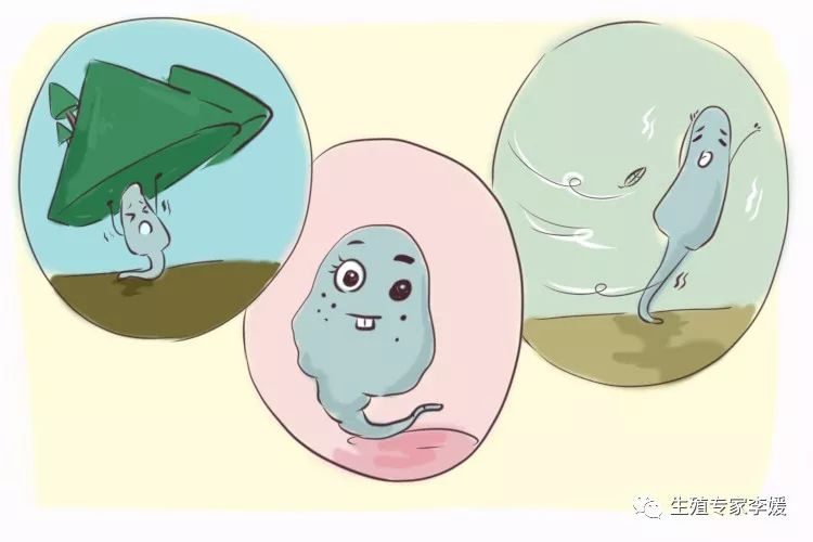 南京爱心捐卵机构