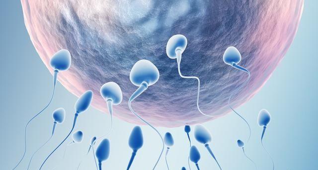 突然经期血块多