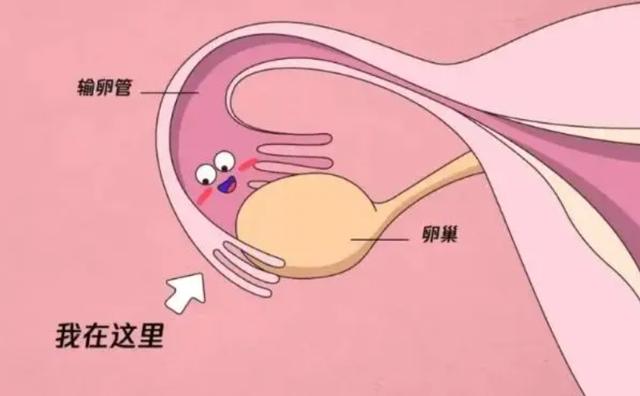 纸擦到血但不来月经